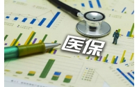 廣東省醫療保障局 廣東省人力資源和社會保障廳關于印發《廣東省基本醫療保險、工傷保險和生育保險藥品目錄(2025年版)》的通知